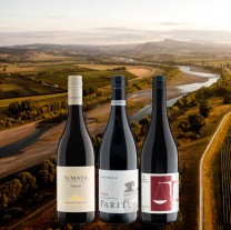 Syrah Discovery Case