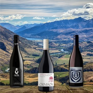 3 Regions Pinot Noir Case