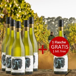 5+1 Set Pencarrow Sauvignon Blanc 2023 - 1 Flasche GRATIS